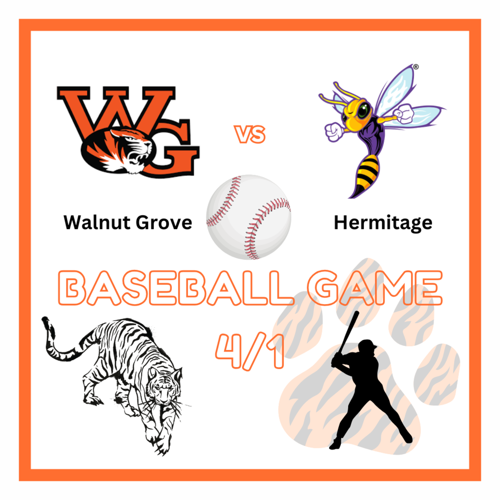 Baseball Flyer