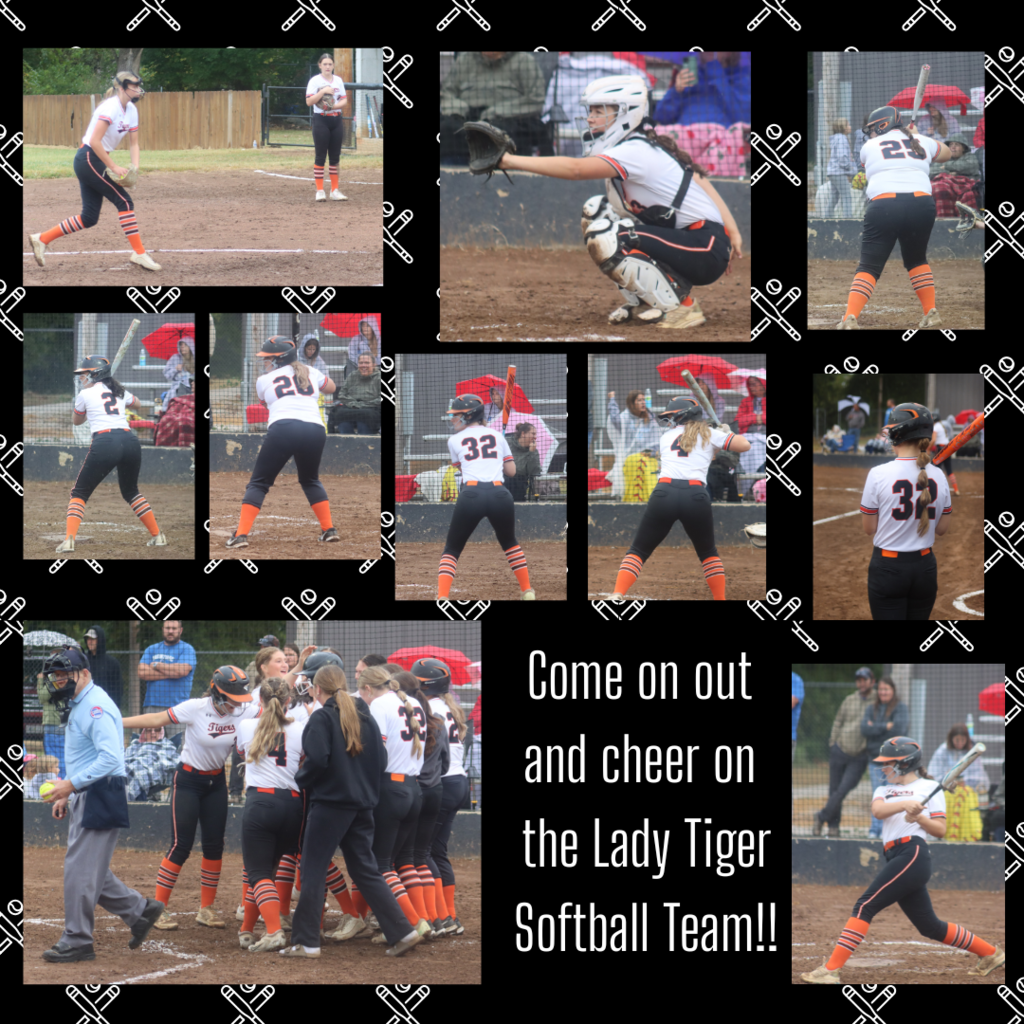 Softball Pics - Tournament Flyer