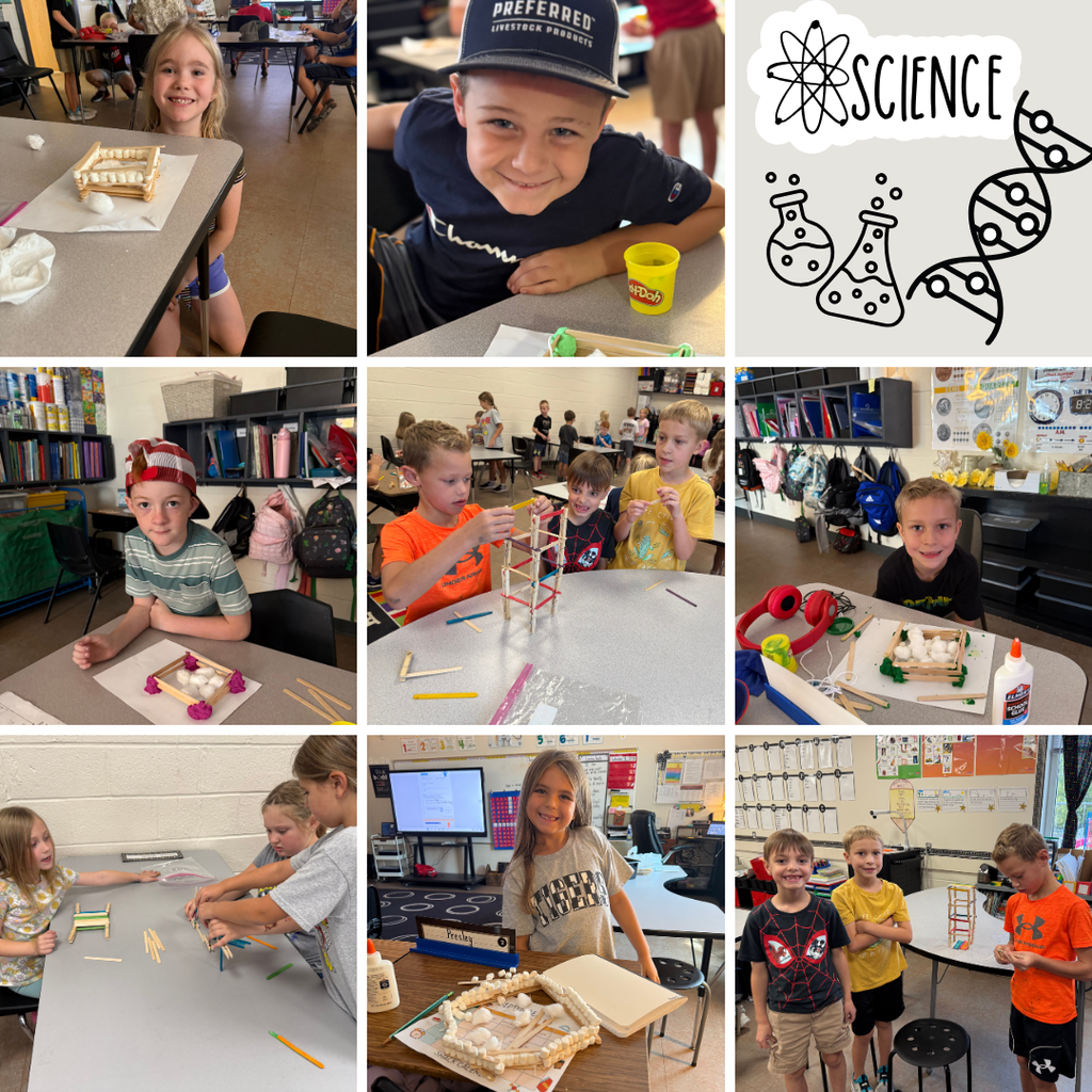 Science and STEM 2