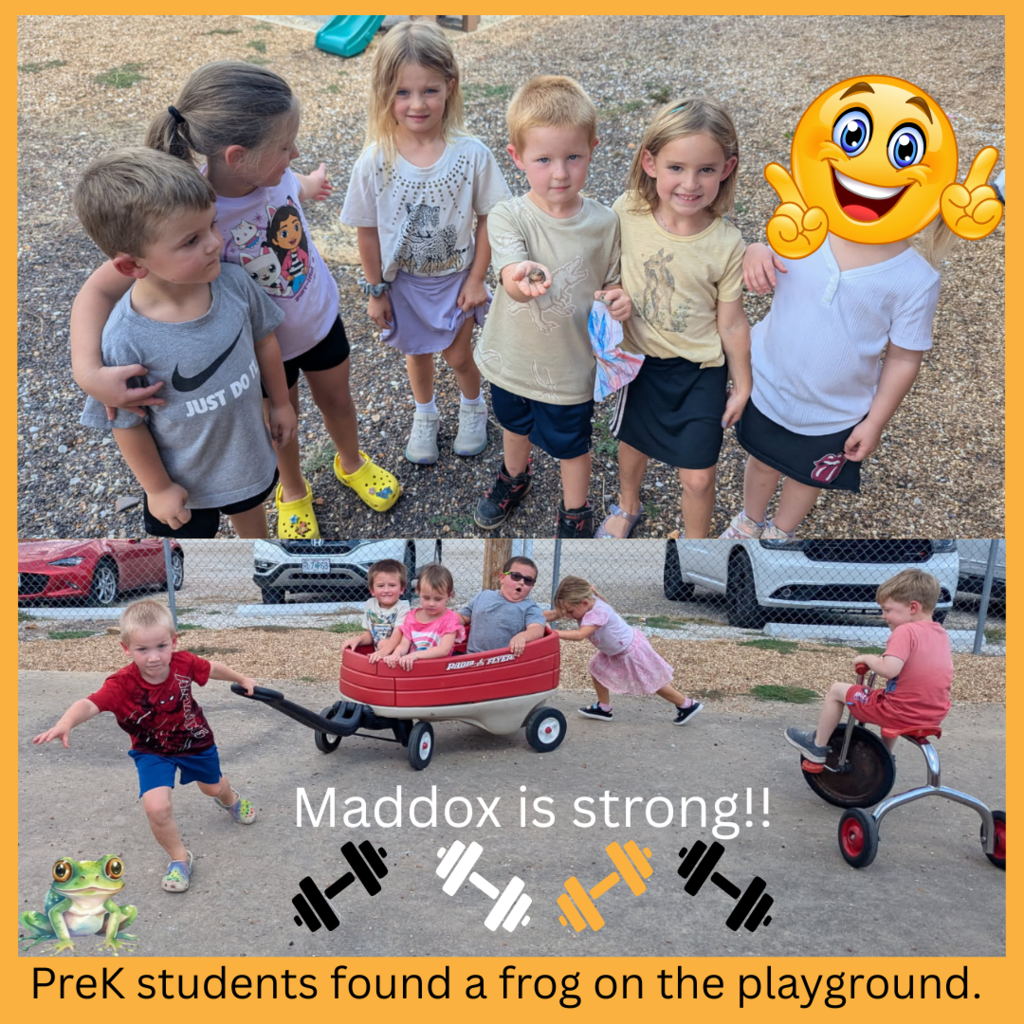 Frogs here we go again