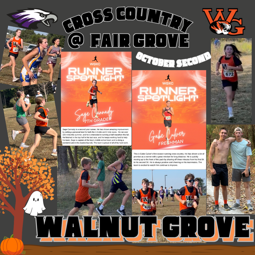 Cross Country Flyer - Fair Grove