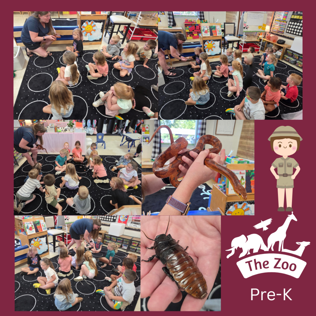 Zoo pictures PreK