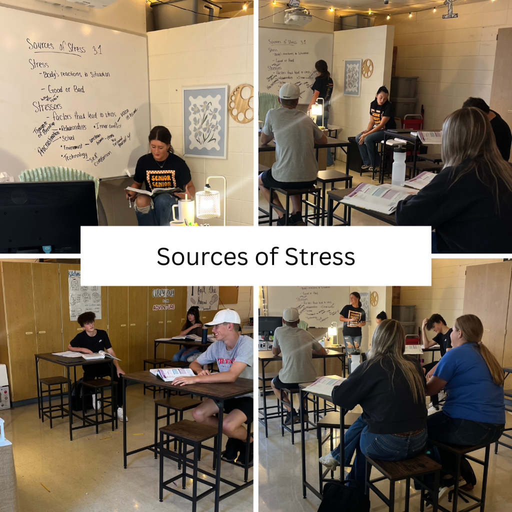 Sources of Stress - Seniors Teaching Freshman