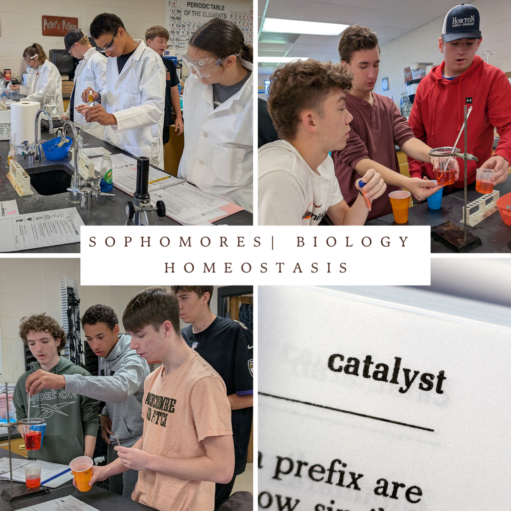 Biology - Sophomores - Lab