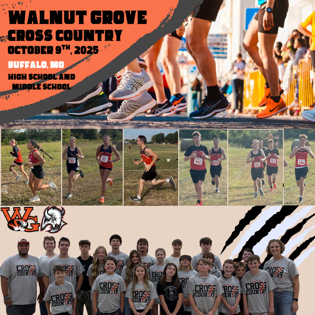 Cross Country Flyer