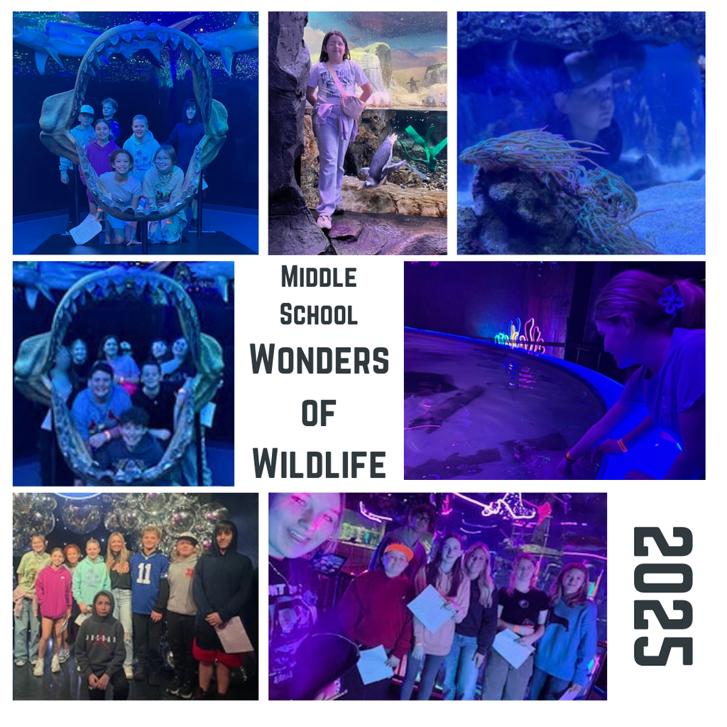 Wonders of Wildlife 1