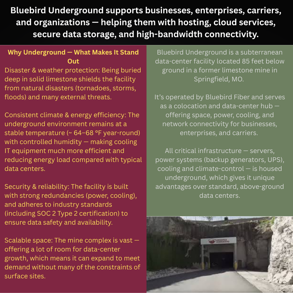 Bluebird Underground 1