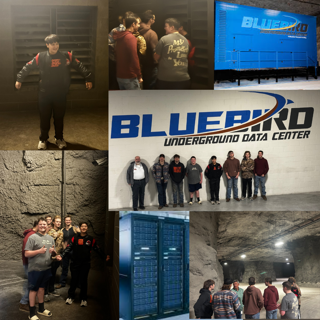 Bluebird Underground 2