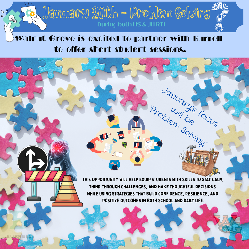 Burrell - January Focus - Problem Solving during RTI