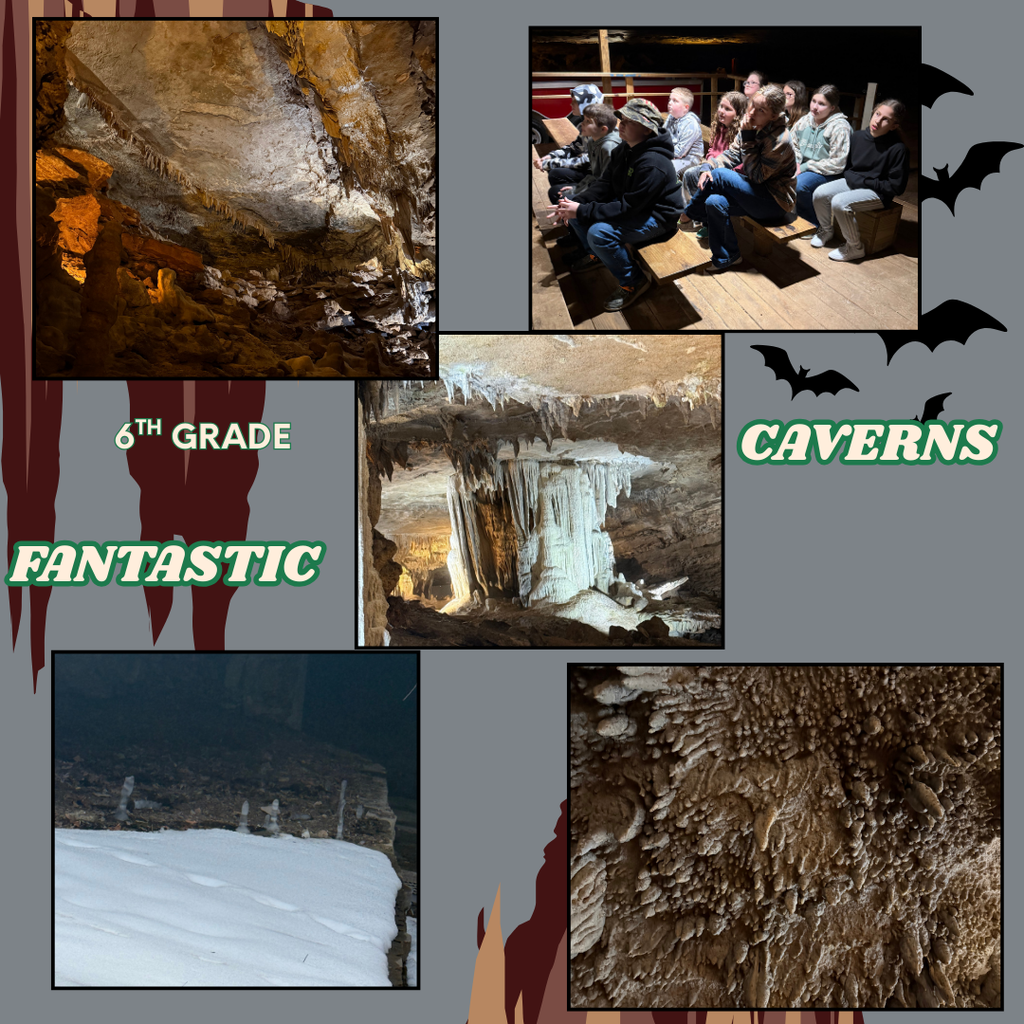 Trip Pic 1 Fantastic Caverns