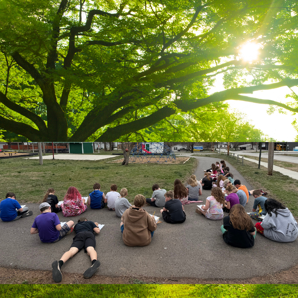 Ball Stuck in a Tree