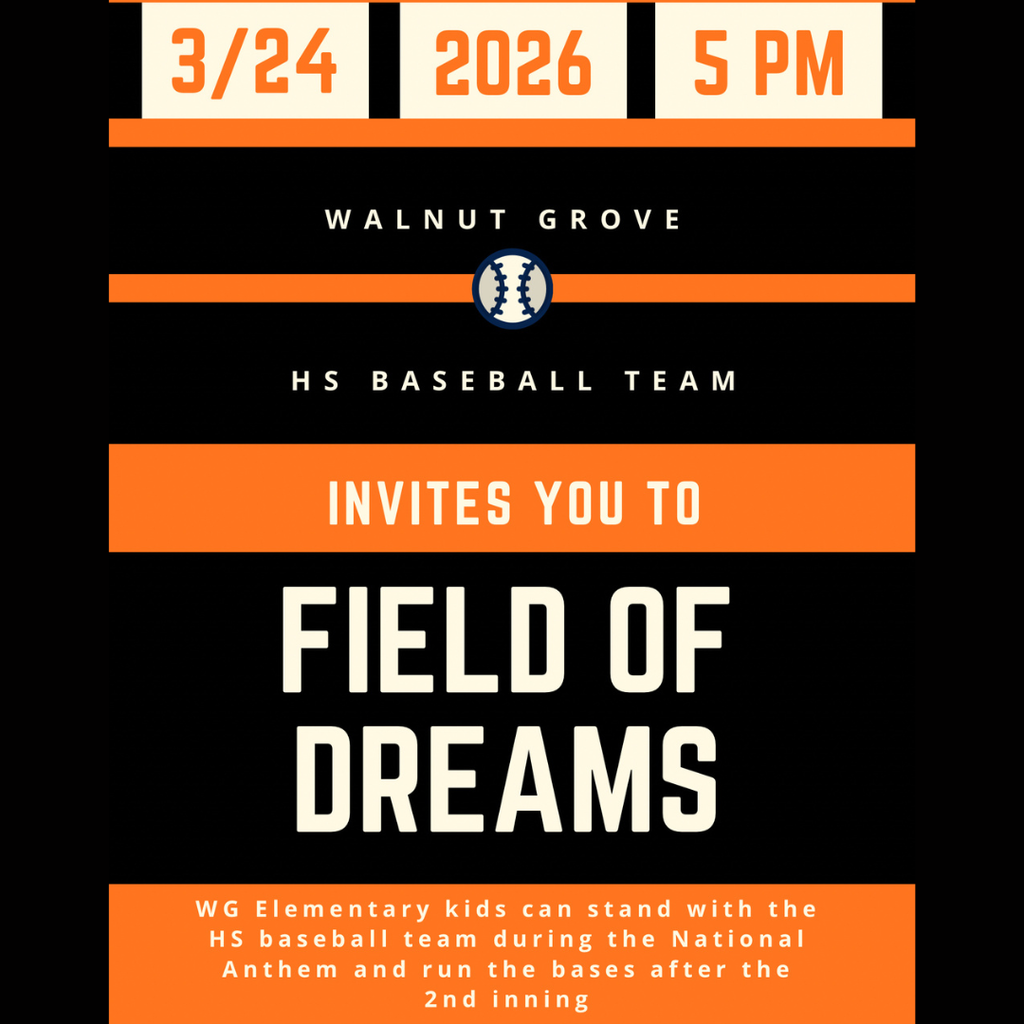 Field of Dreams HS Baseball flyer