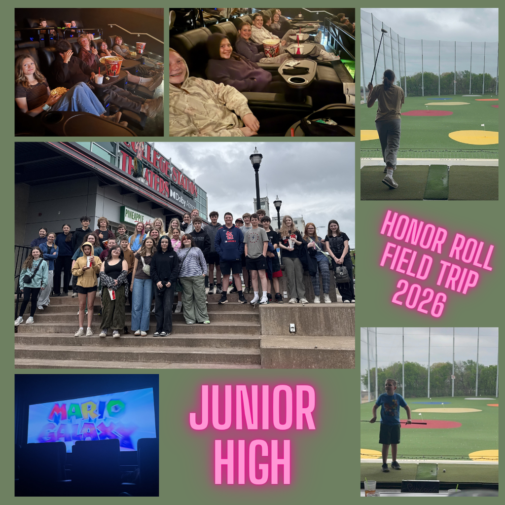 JH Movie Mario Galaxy Flyer