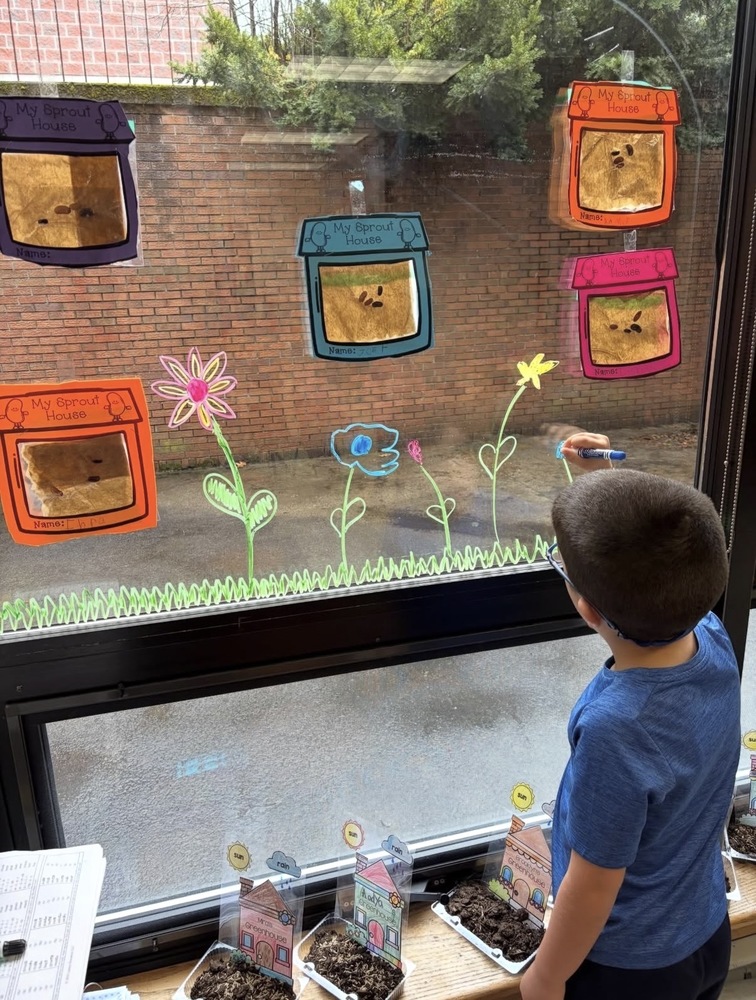 kindergarten student at the window