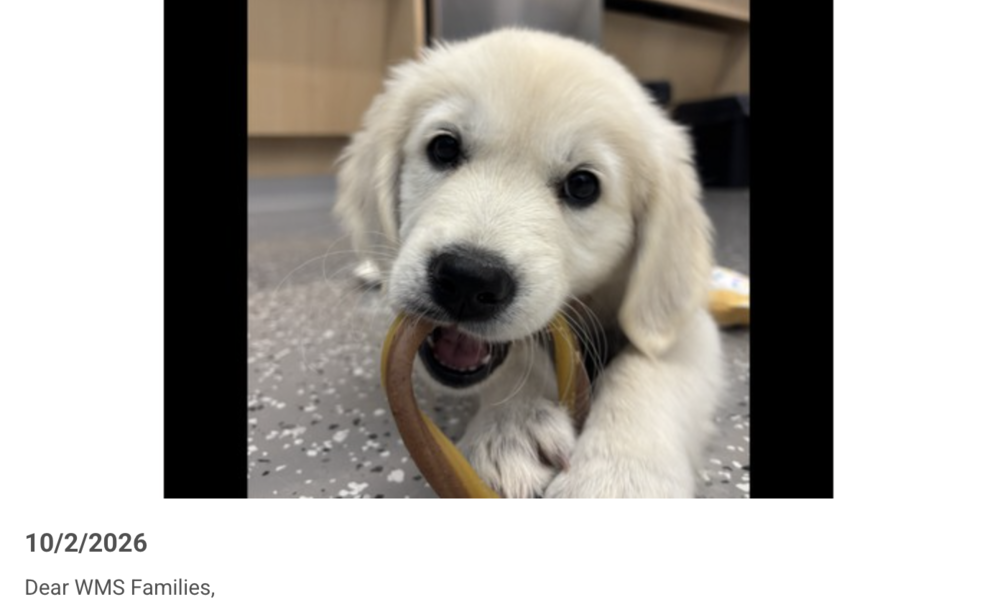 WMS Newsletter #6 10/2/26