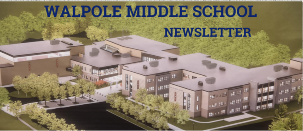 WMS Update #13 11/22/24