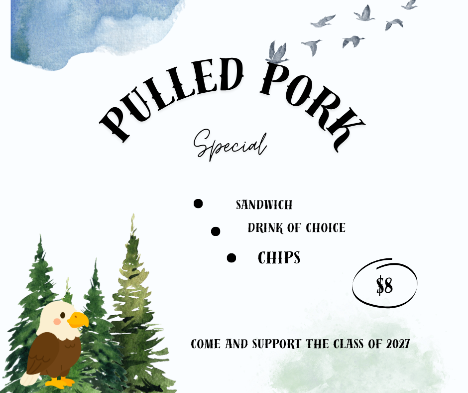 pulled pork special