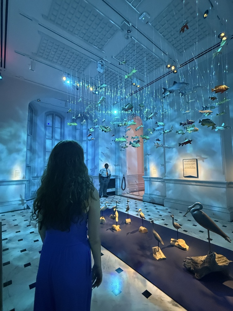 museum of natural history 