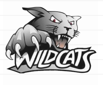 KMS Wildcat