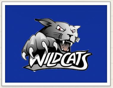 Wildcat
