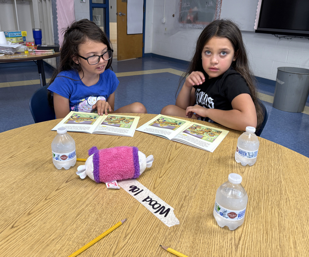 Students taking part in the summer reading and math program at Townsend Elementary