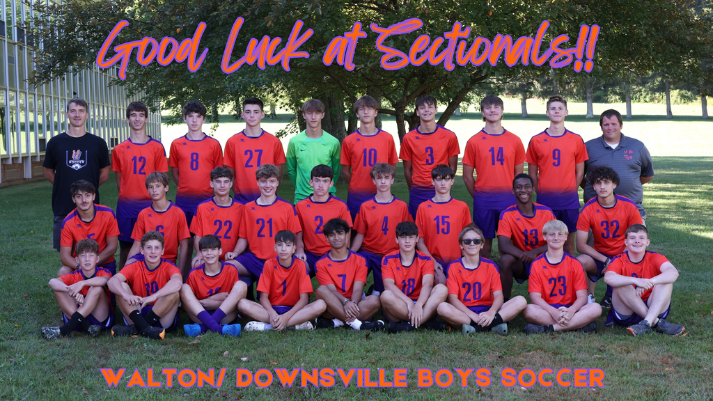 boys soccer sectional graphic