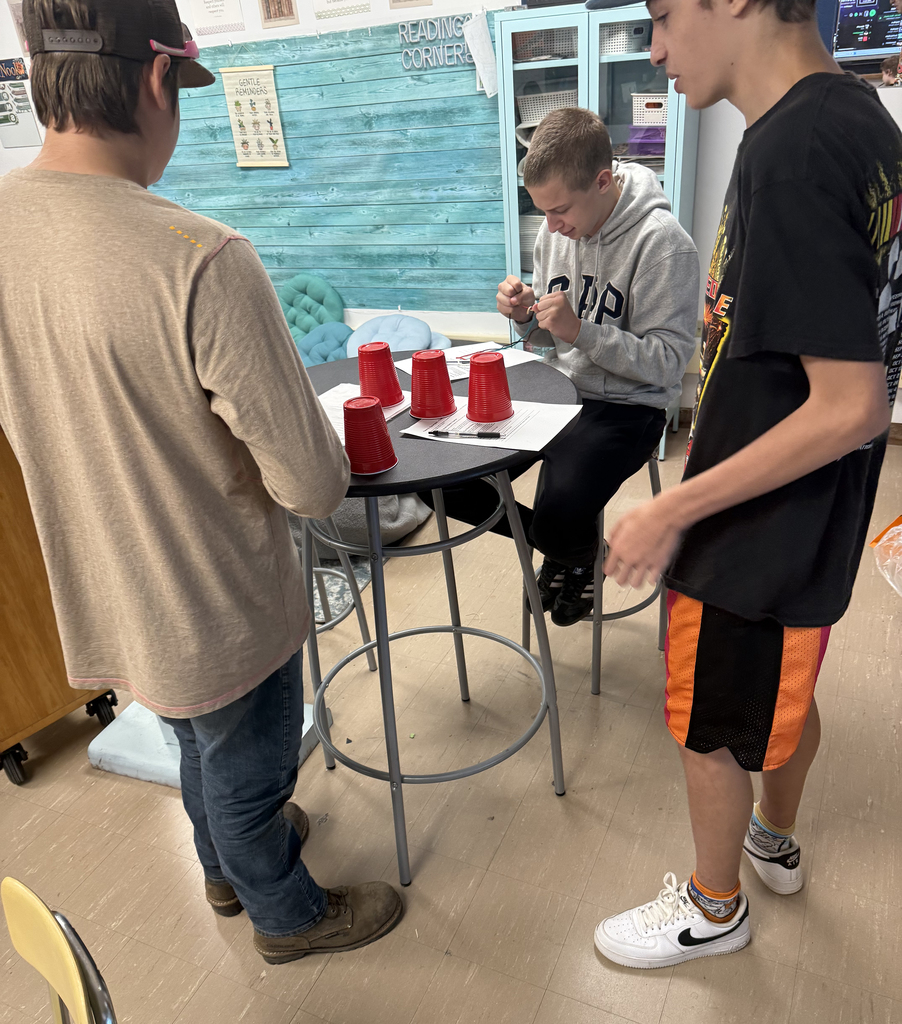 Students taking part in a team-building exercise.