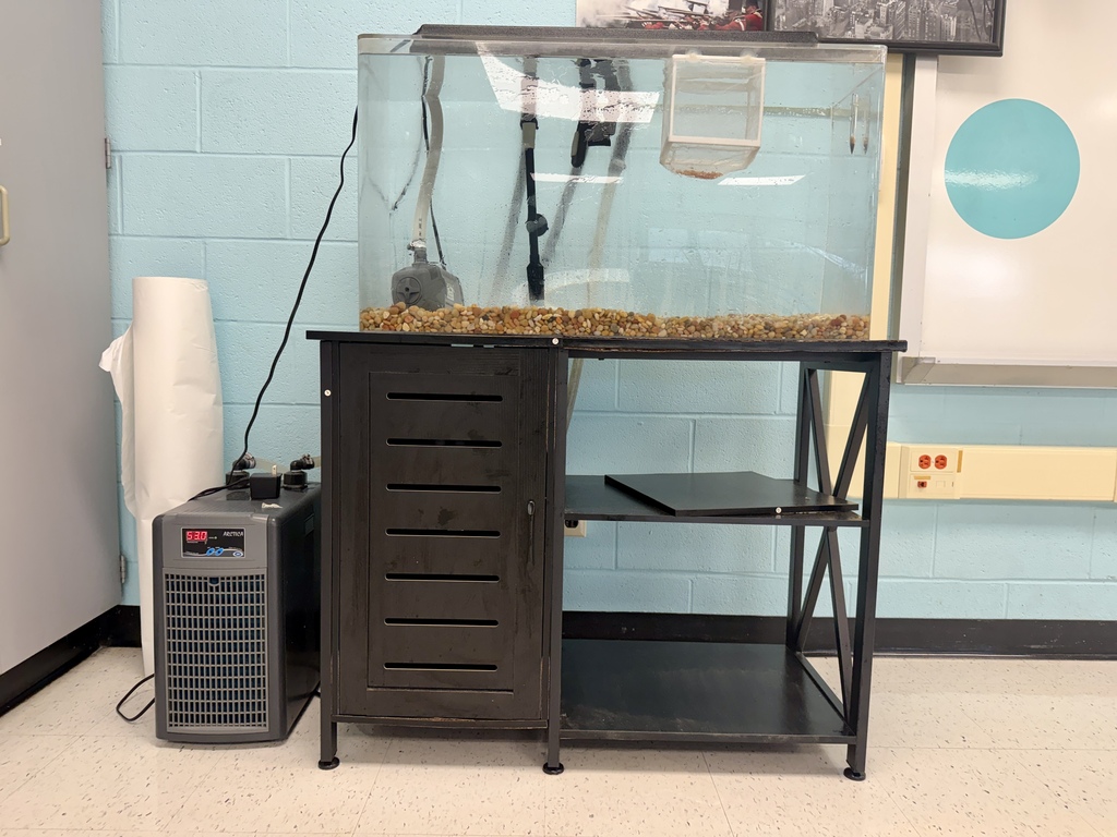 Trout in the Classroom items in Walton - tank