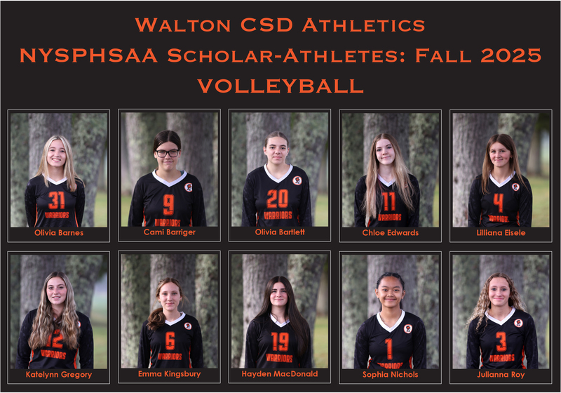 Volleyball scholar athletes