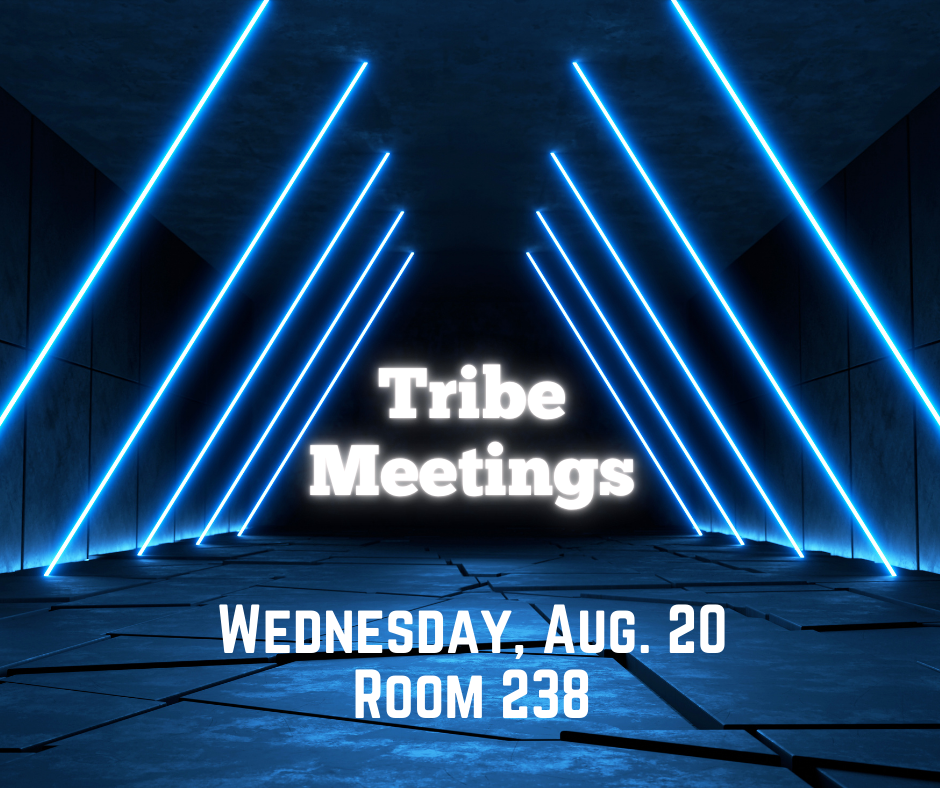 Tribe Meetings