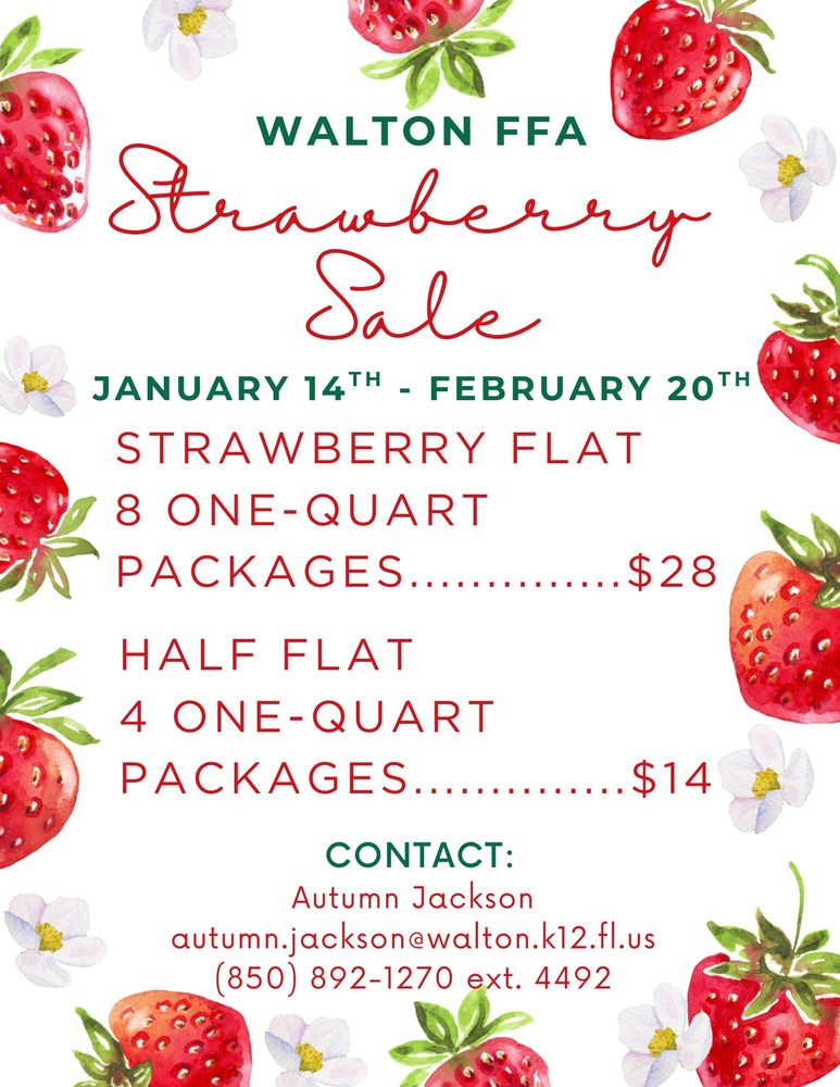 Strawberries - Jan. 2026