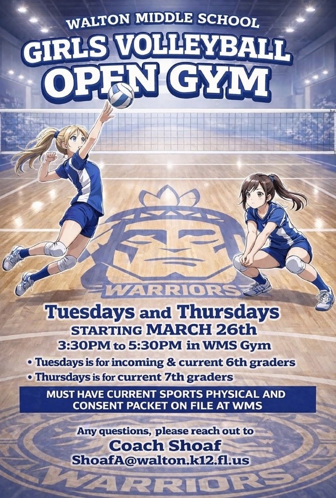 Volleyball Open Gym