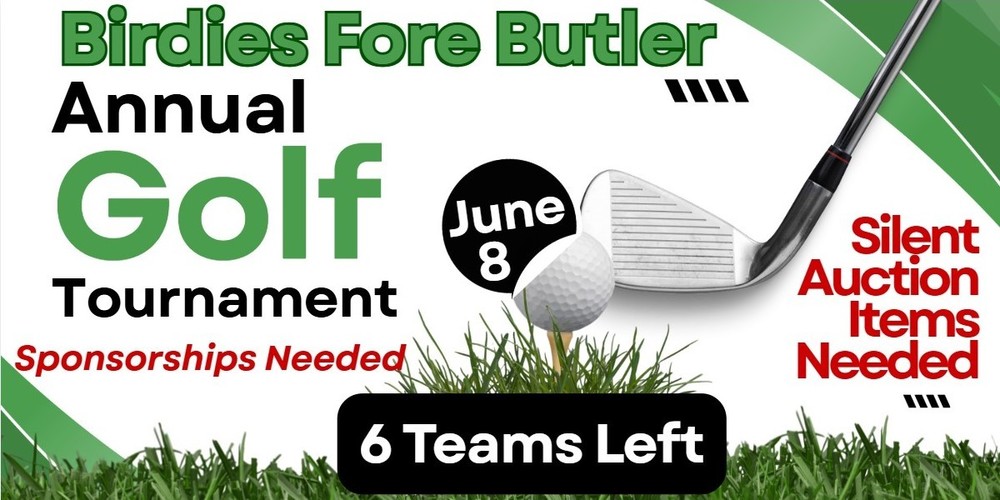 Birdies 6 teams left