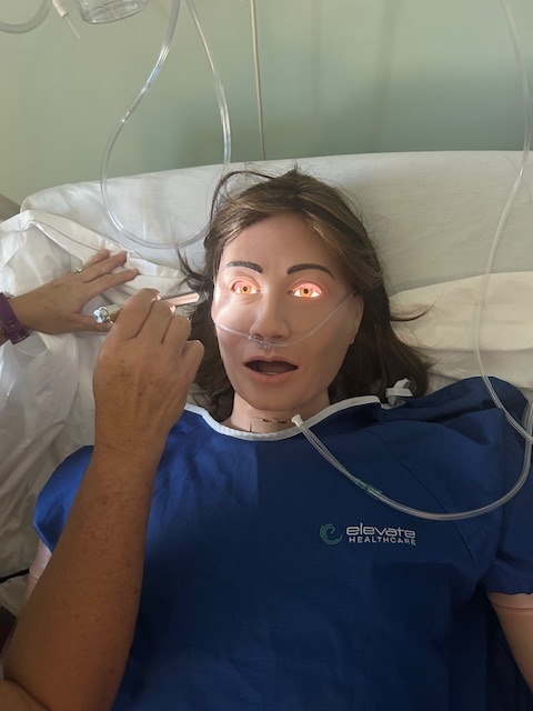PN Instructors training on Patient Simulators
