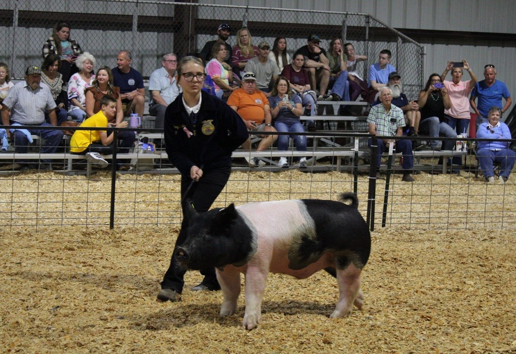 FFA Fair
