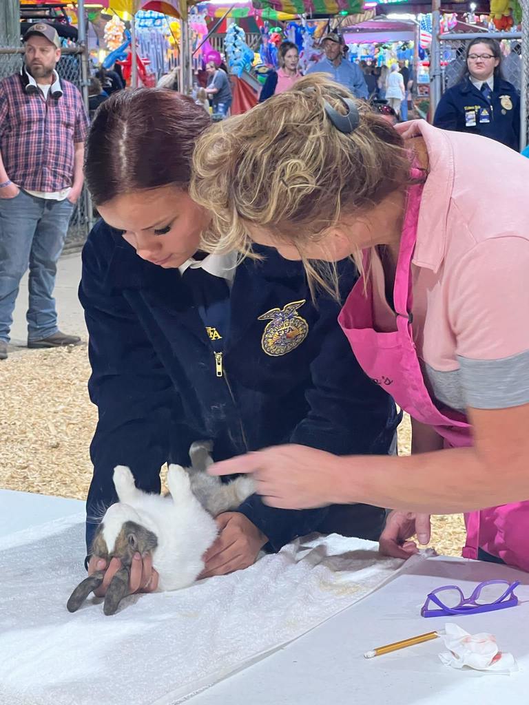 FFA Fair
