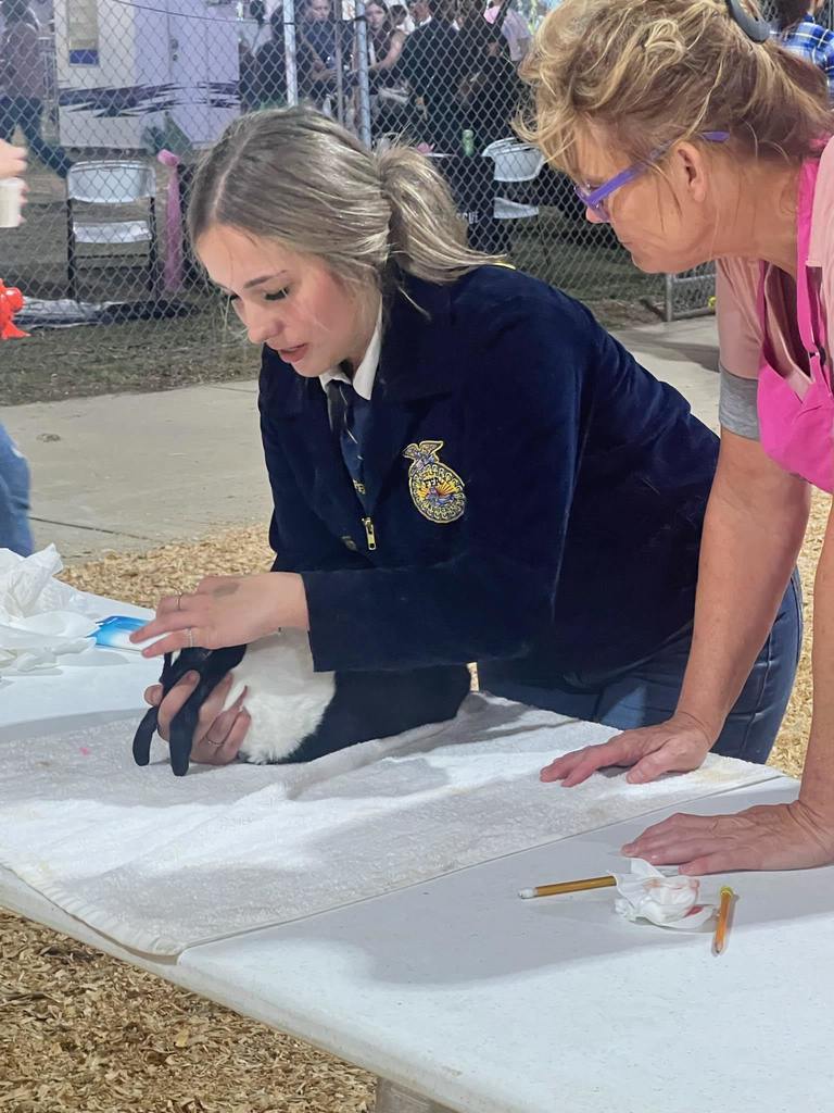 FFA Fair