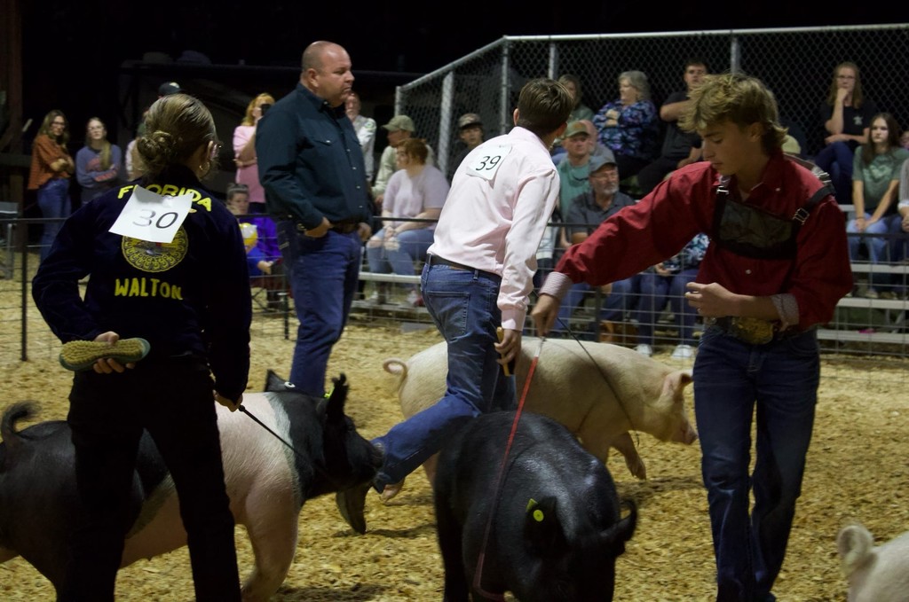 FFA Fair