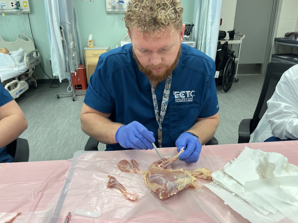 PN Students learning about integumentary and musculoskeletal systems by completing dissections on chicken leg and thigh quarters.