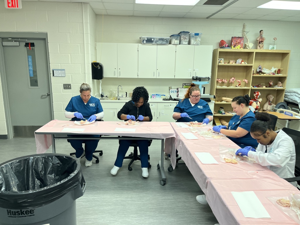 PN Students learning about integumentary and musculoskeletal systems by completing dissections on chicken leg and thigh quarters.