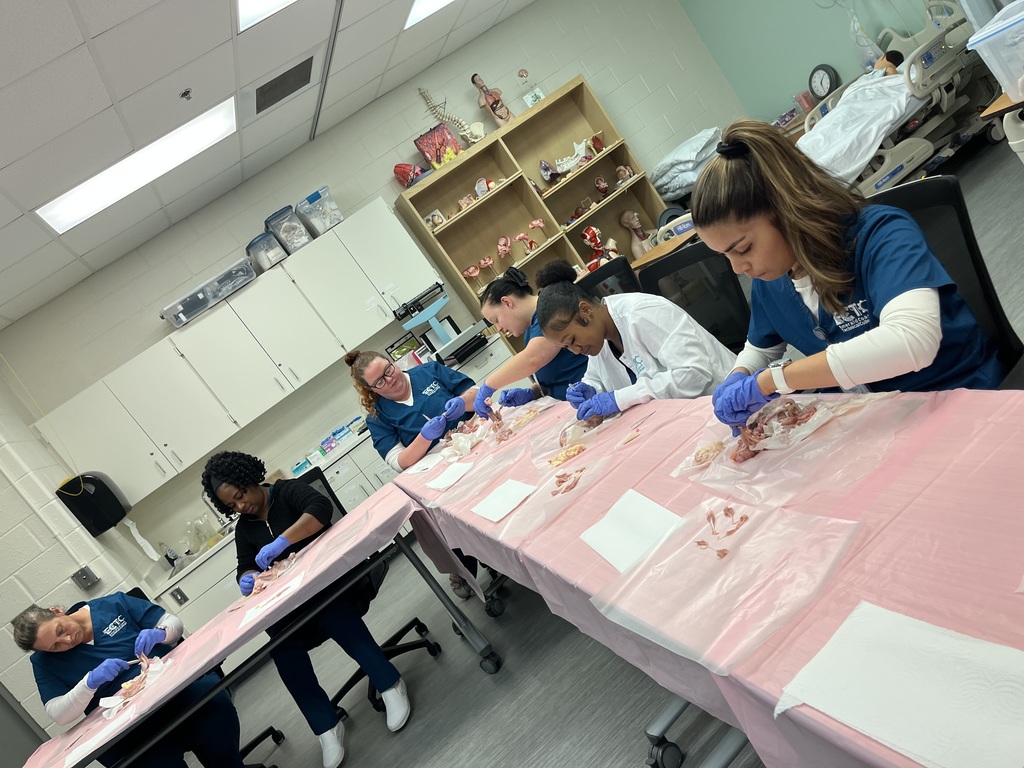 PN Students learning about integumentary and musculoskeletal systems by completing dissections on chicken leg and thigh quarters.