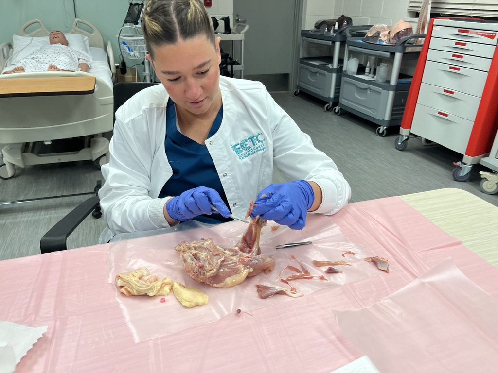 PN Students learning about integumentary and musculoskeletal systems by completing dissections on chicken leg and thigh quarters.