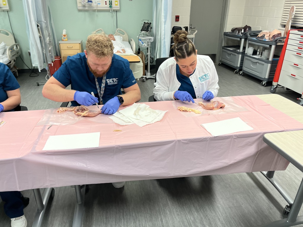 PN Students learning about integumentary and musculoskeletal systems by completing dissections on chicken leg and thigh quarters.