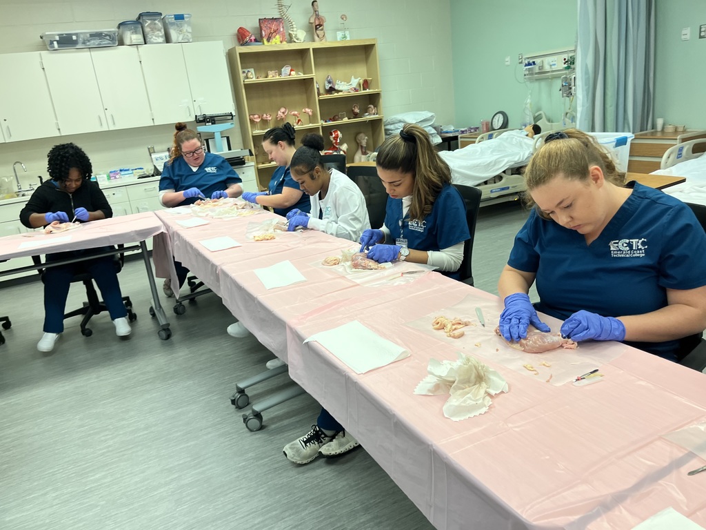 PN Students learning about integumentary and musculoskeletal systems by completing dissections on chicken leg and thigh quarters.