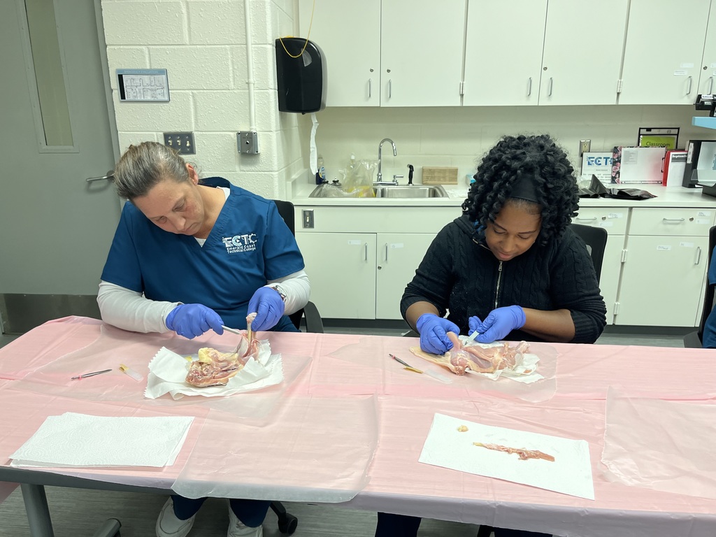 PN Students learning about integumentary and musculoskeletal systems by completing dissections on chicken leg and thigh quarters.