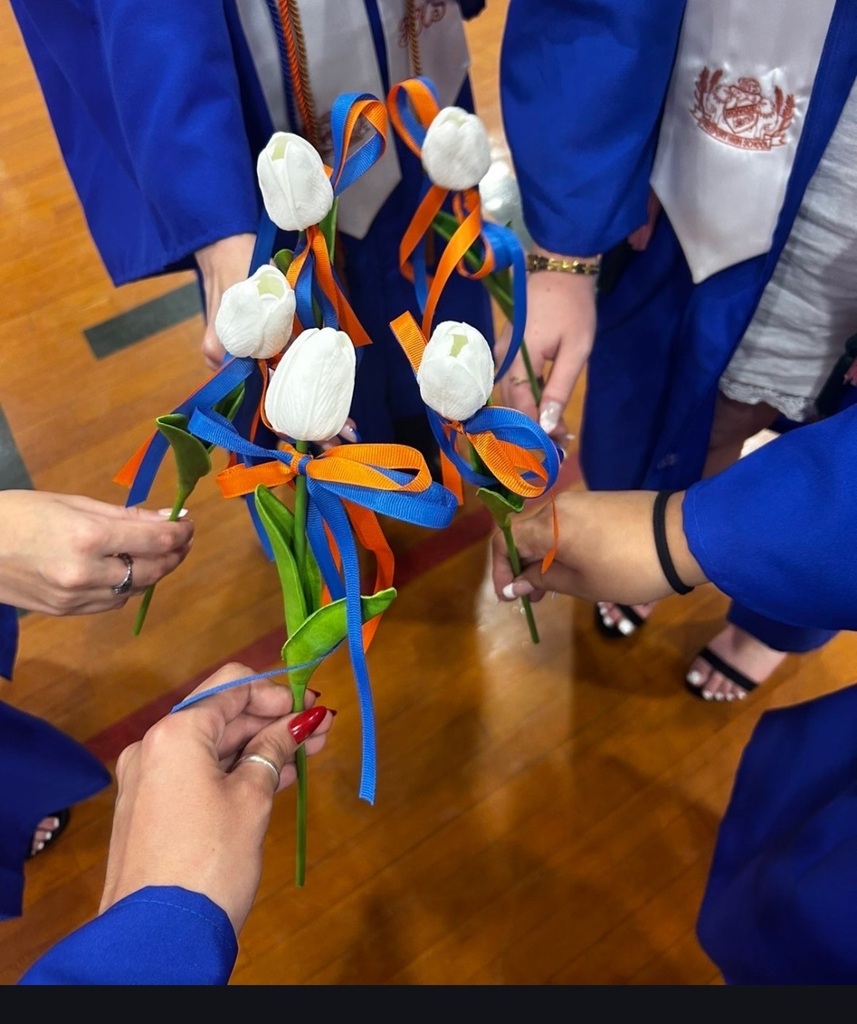 Grad 4