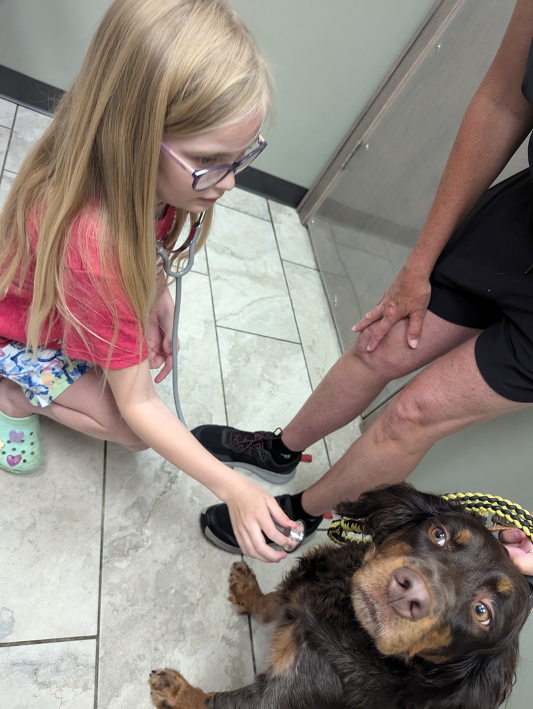 Camp Walworth at the Animal Hospital