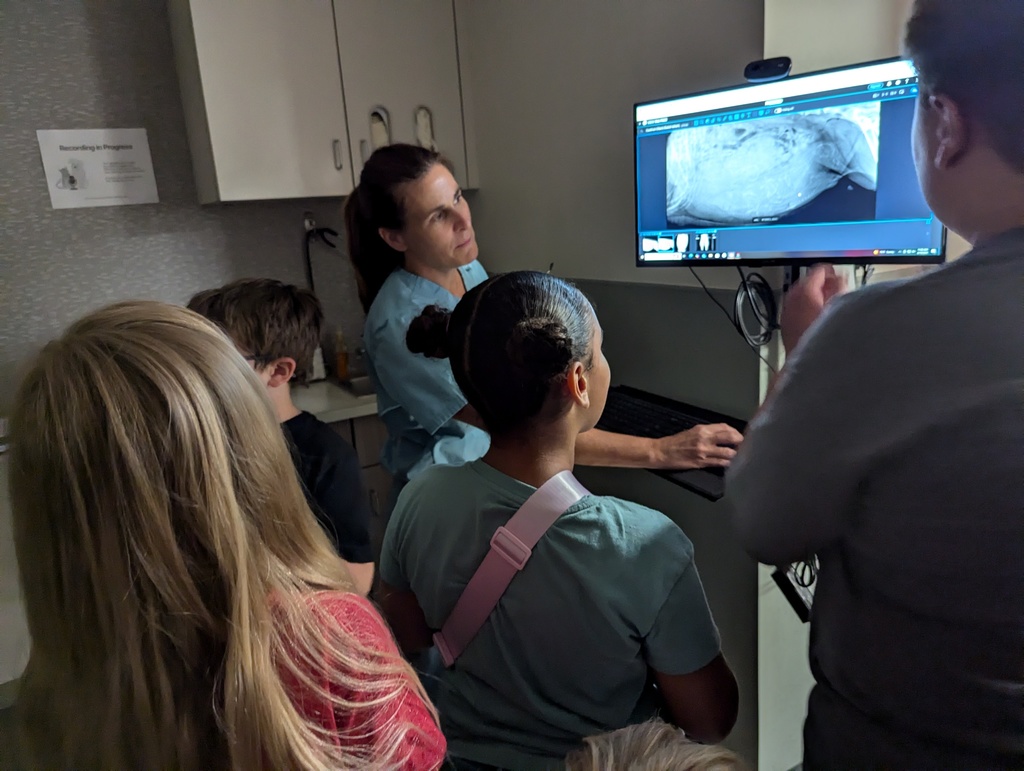 Camp Walworth at the Animal Hospital