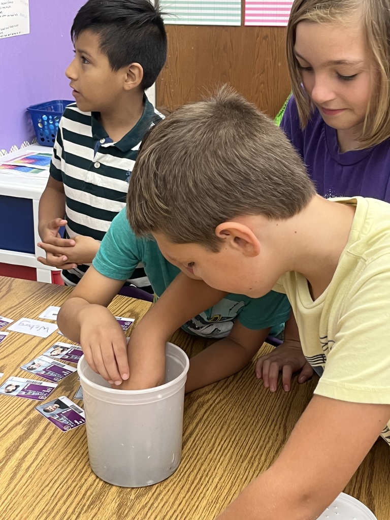 children examining a toad