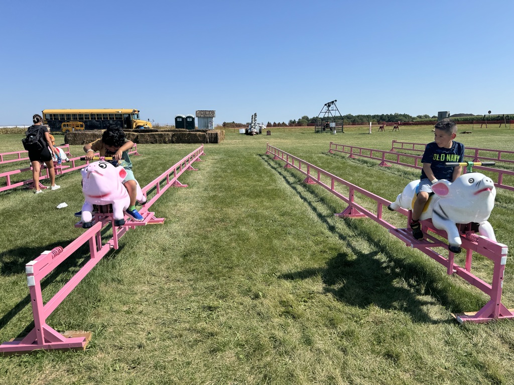 Students on pig racing game